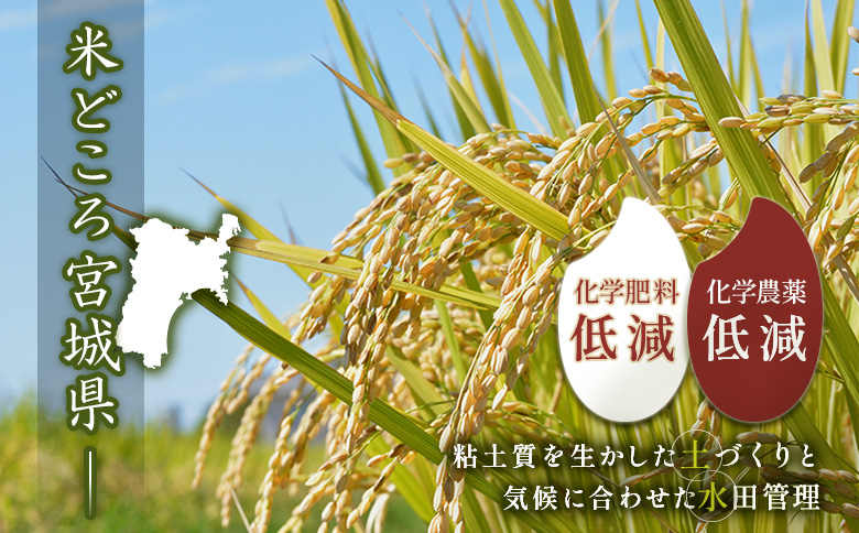 【ご入金確認後、順次発送！】つや姫（精米） 2kg【490008】