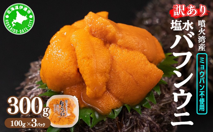 訳あり 北海道 噴火湾産 塩水 バフンウニ 100g 3パック 計300g 《アフター保証付き》うに ウニ 雲丹 海鮮 海の幸 魚介類 ウニ丼 お寿司 濃厚 無添加 産地直送 お取り寄せ 山村水産 送料無料