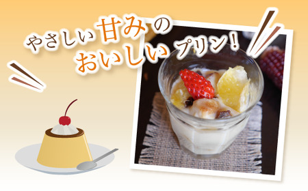 米粉プリンの素 200g（40g×5袋）