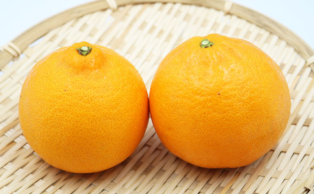 【数量限定・先行予約】もぎたて樹上完熟！『訳あり せとか』５kg　[0014-0029]