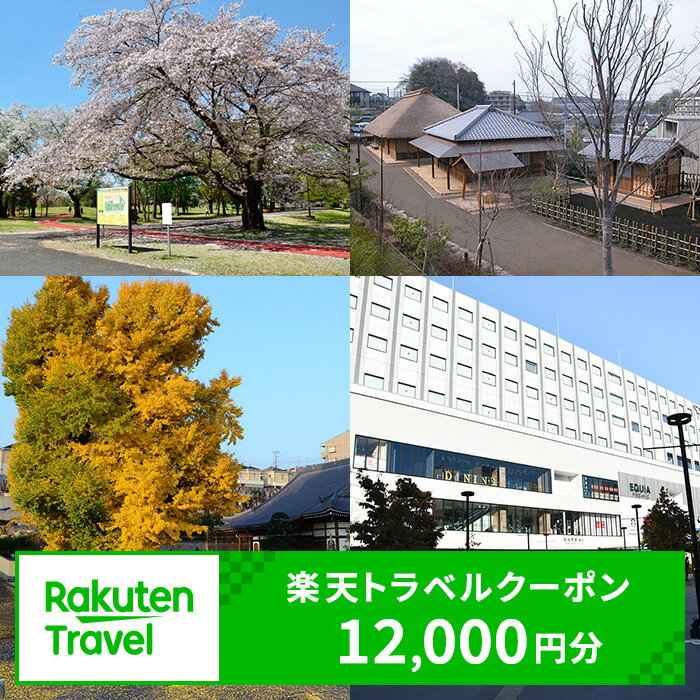 【ふるさと納税】埼玉県和光市の対象施設で使える 楽天トラベルクーポン 寄付額40,000円　和光 埼玉 宿泊 宿泊券 ホテル 旅館 旅行 旅行券 観光 トラベル チケット 旅 宿 券