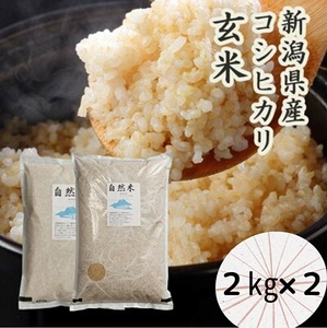 【新米】「米屋のこだわり阿賀野市産」GOZU自然米 玄米２kg×２袋 1E13017