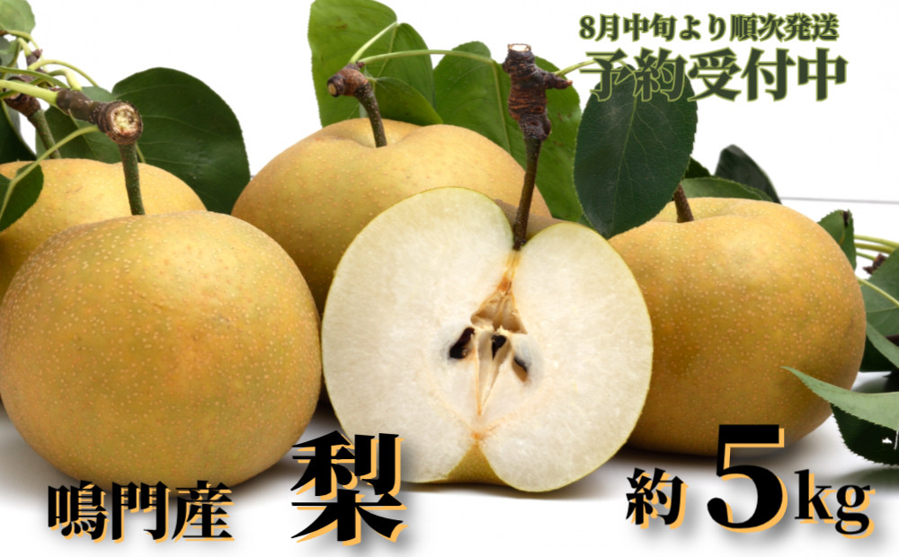 
                  【予約受付中・2026年8月中旬頃より順次発送】徳島県鳴門市産「 梨 」 約 5kg 【数量限定】 国産梨　フルーツ　ジューシー　甘い　幸水 豊水 あきづき 新高
                