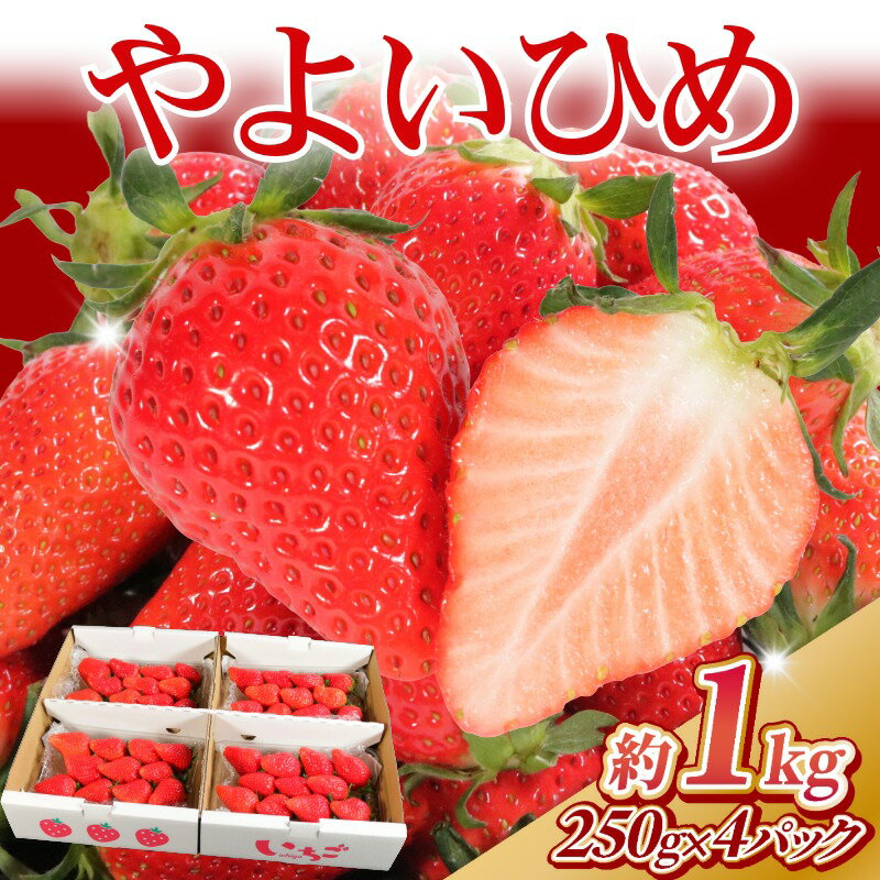 【ふるさと納税】 先行予約 いちご やよいひめ 約1kg （250g×4パック） 苺 ストロベリー 果物 フルーツ ジャム ゼリー ケーキ いちご大福 フルーツサンド ショートケーキ 期間限定 国産 ふるさと納税 ふるさと納税いちご 冷蔵 10000円 送料無料 千葉県 銚子市 神原いちご園
