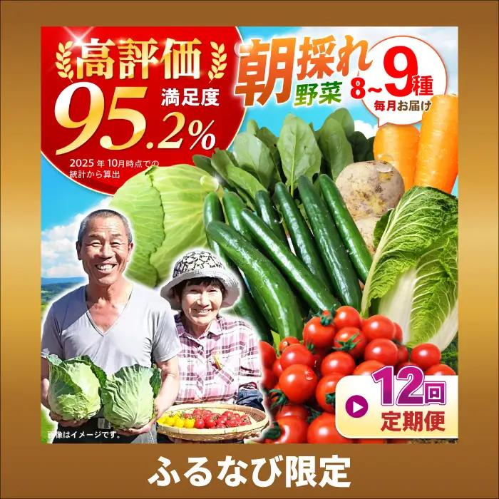 【ふるなび限定】野菜 12回定期便  諫早産野菜の詰め合わせ 8・9品目程度 [AHDI003]