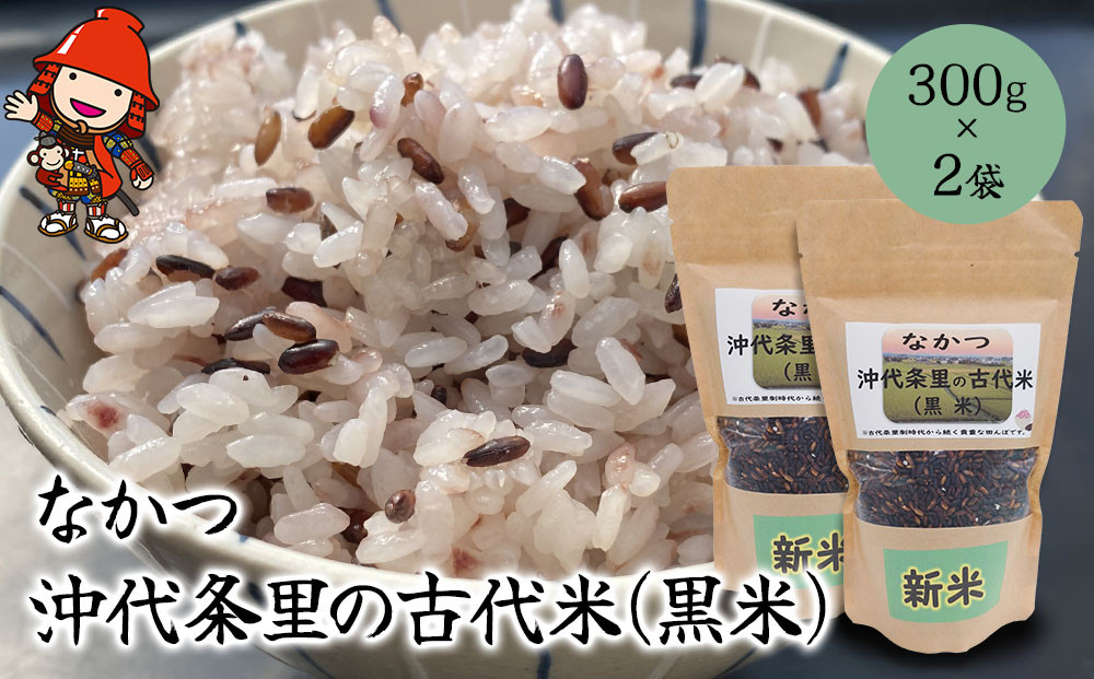 
            なかつ 沖代条里の古代米 (黒米) 300g×2袋 | 雑穀 雑穀米 古代米 紫黒米 黒米 国産 お米 米 こめ 玄米 ご飯 健康志向 大分県産 九州産 国産 大分県 中津市
          