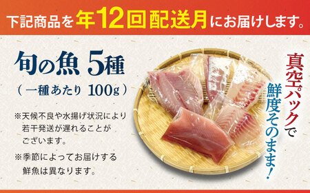 【全12回定期便】【五島の旬】下処理済み 超速冷凍 鮮魚 5種 柵 セット 旬 魚 冷凍 真空 刺身 五島市 / 金沢鮮魚[PEP021]