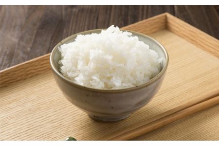 No.179 【令和5年産】茨城県産コシヒカリ10kg（5kg×2袋）精米 JA茨城むつみ