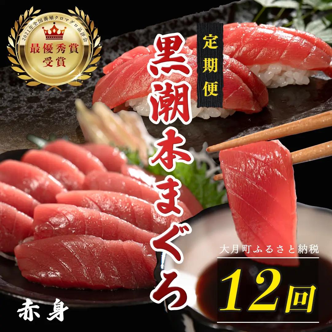 【12回お届け定期便】赤身 本マグロ 定期便 PT0080_0524