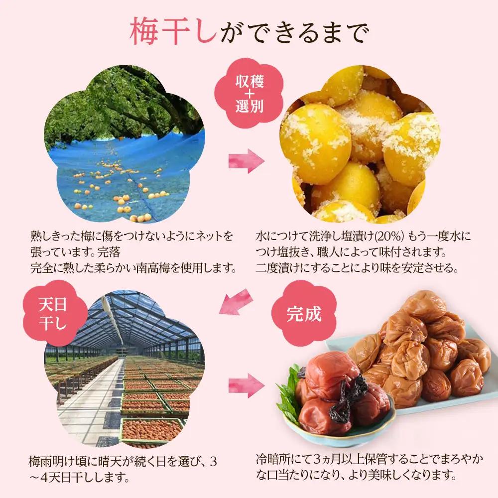 無選別 和歌山の完熟南高梅 味が染み込んだ梅干し はちみつ味 500g 塩分10％ [定期便 毎月発送・全6回]
