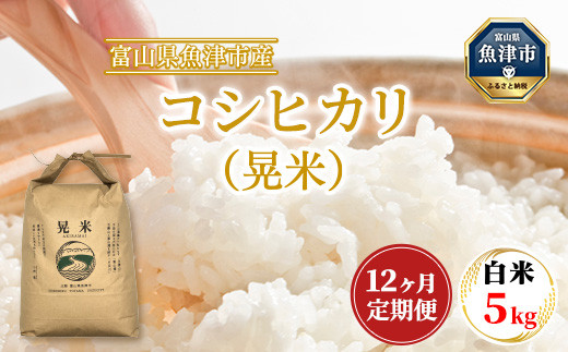 
【12ヶ月定期便】【令和6年度米】「魚津のコシヒカリ（晃米）」5kg（白米） ｜ 環境配慮 MK農産 お米 ブランド米 銘柄米 精米 ご飯 おにぎり 産地直送 甘み 旨味 香り ※2024年9月中旬頃より順次発送予定 ※北海道・沖縄・離島への配送不可
