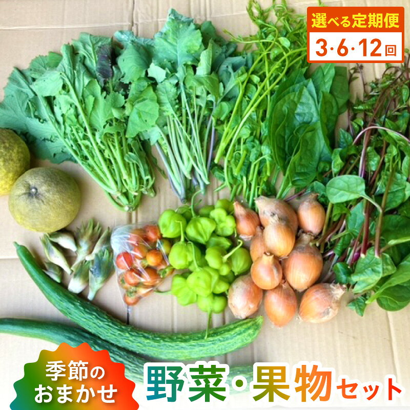 【ふるさと納税】定期便 野菜 果物 セット 旬 詰合せ 8 〜 10品 おまかせ 選べる 回数 3回 6回 12回 採れたて 晩柑 温州ミカン ビワ スモモ レモン いちじく 甘柿 自然栽培 露地栽培 栽培期間中農薬不使用 常温 冷蔵 天草産 九州 産地直送 お取り寄せ 熊本県 天草市 送料無料