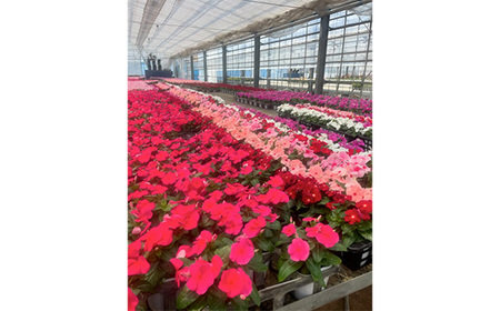 No.147 【季節の寄植えリース】ウォームセレクト＊花工房すなが＊