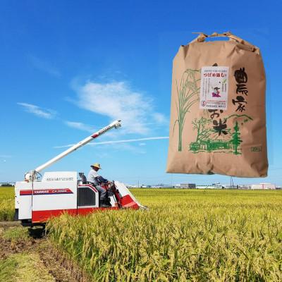 ふるさと納税 燕市 【令和7年産新米 先行予約】おかずのいらないコシヒカリ「つばめ返し」玄米 20kg |  | 02