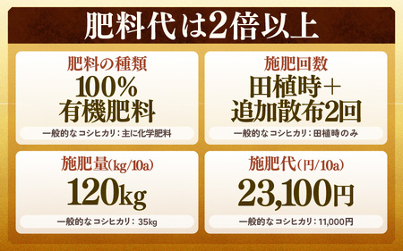 【先行予約】【令和8年産 新米】定期便《6ヶ月連続お届け》コシヒカリ 精米 5kg × 6回（計30kg）特別栽培米 農薬不使用 化学肥料不使用 ／ 残留農薬ゼロ 高品質 鮮度抜群 福井県産 ブランド
