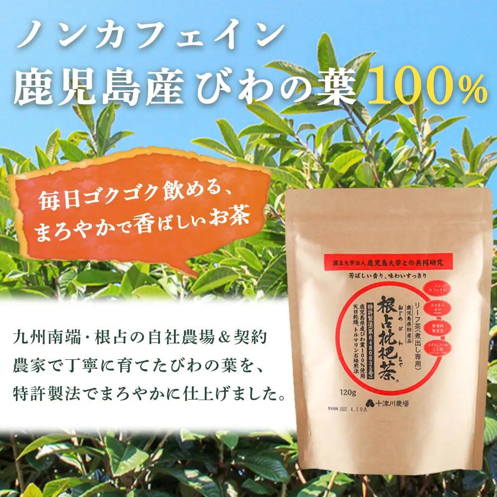 根占枇杷茶 茶葉  1袋（120g入）煮出し用 TO-17-NP | ねじめ びわ茶 国産 使い切り トルマリン石 焙煎 健康茶 お茶 煮だし 飲みやすい 香ばしい おいしい びわの葉 ネコポス 鹿児