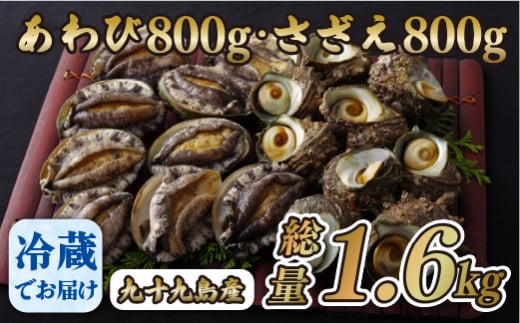 A177p 九十九島あわび(800g)･さざえ(800g)