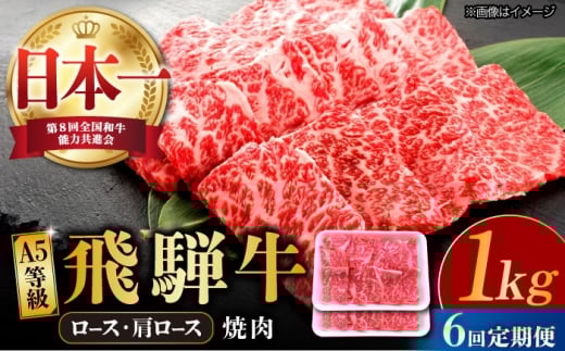 【6回定期便】 飛騨牛 焼肉用 ロース・肩ロース 1kg A4等級以上 和牛 ブランド牛 国産 牛肉 多治見市 / 渡辺精肉店 [TAZ036]