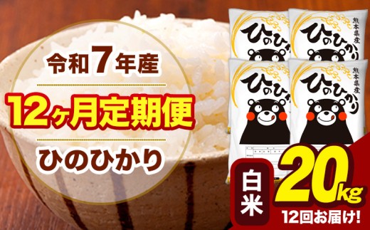 令和7年産 【12ヶ月定期便】 白米 米 ひのひかり 20kg《お申込月の翌月から出荷開始》熊本県 大津町 国産 熊本県産 白米 送料無料 ヒノヒカリ こめ お米