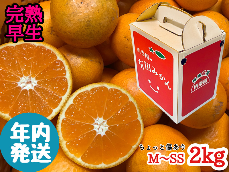 ZF6305n_ちょっと傷あり【完熟早生・有田みかん】M～SSサイズ 約2kg