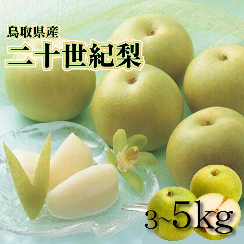 【ふるさと納税】【先行予約】中野農園 梨 ”二十世紀梨” 3玉、3～5kg 訳あり｜鳥取県 梨 なし ナシ 二十世紀梨 果物 フルーツ 2025収穫
