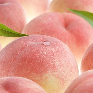 和歌山の桃 [秀品 約3.8～4kg](サイズ・品種おまかせ) ｜ 桃 桃 桃 桃 桃