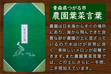 高級 メロン『浮世離れ』2玉【2026年7月下旬から8月上旬まで順次発送】一度は食べてみたい！市場に出回らない｜青森県 青森産 津軽 つがる めろん メロン 果物 フルーツ 夏メロン 青森メロン [0