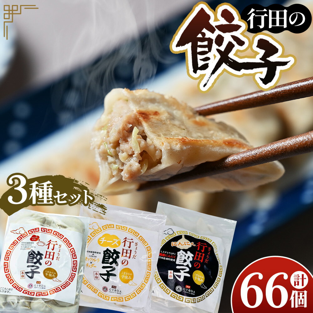 【ふるさと納税】No.417 人気の定番「行田の餃子」3種セット ／ ぎょうざ ギョウザ 食べ比べ 逸品 送料無料 埼玉県