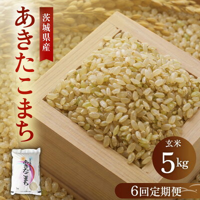 【ふるさと納税】【毎月定期便】こだわりのあきたこまち 玄米 5kg | 茨城県かすみがうら市全6回【4094643】