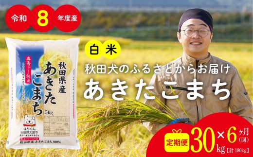 【定期便6ヶ月】秋田県産あきたこまち(白米)30kg / 米 30kg 白米 令和8年産 秋田県産 あきたこまち 5kg×6袋 おにぎり 大館 東北 秋田 小分け こわけ 大館市 30キロ 30ｷﾛ 30きろ【1164P051002-S-06-30-oi3】【ふるさと納税3.0】