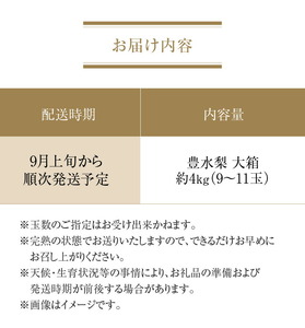 梨 数量限定！平和農園 豊水梨 大箱（9～11玉）＜約４kg＞フルーツ ふるーつ 果物 くだもの 三豊市_M32-0002 なし ナシ