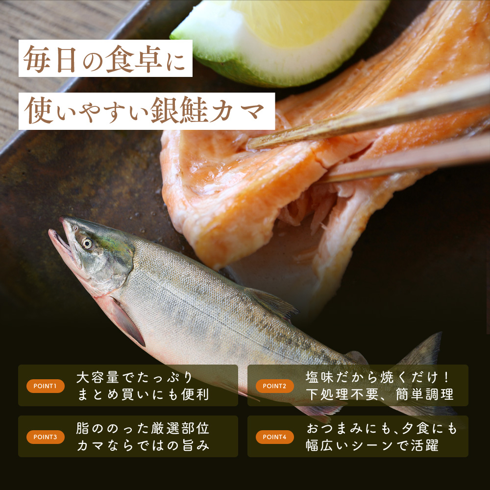 塩銀鮭カマ【端材、訳あり】2kg 福井県