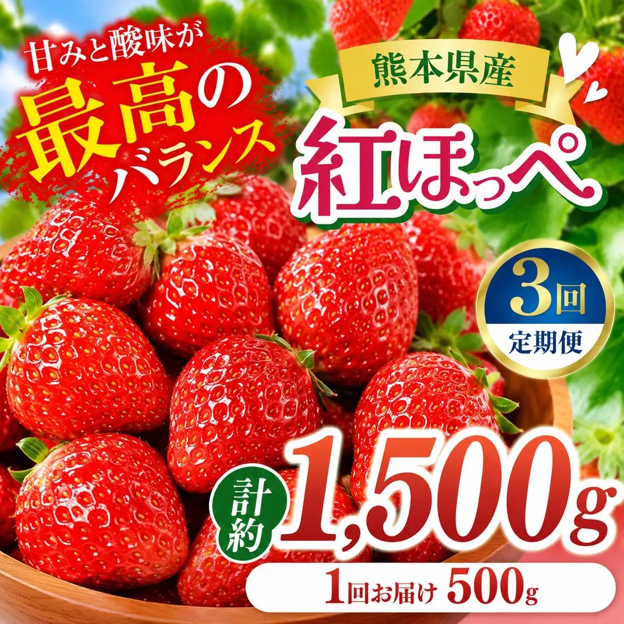 【3回定期便】いちご 紅ほっぺ 約1500g 坂田農園