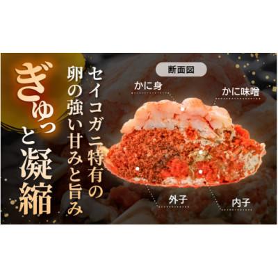 ふるさと納税 越前町 【のし付き】プレミアムサイズ! セイコガニ  甲羅盛り 計約360g |  | 01