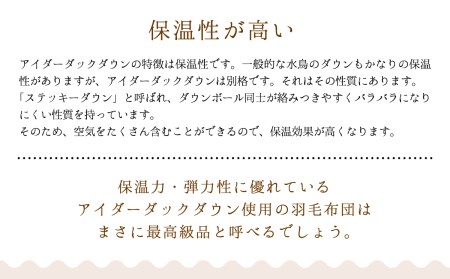 羽毛布団【シングル】アイルランド産アイダーダックダウン300g　高級生地使用【S-46】