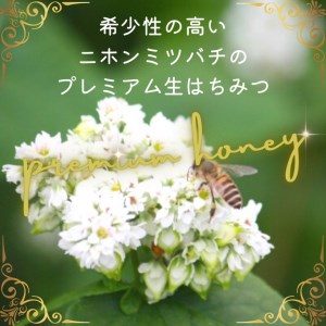 亀岡産 日本みつばち百花蜜 130g《純粋 非加熱 国産 無添加 生はちみつ 蜂蜜 ハチミツ 健康 ダイエット》