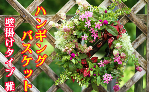 東北最大級のガーデニング専門店 厳選 『ハンギングバスケット』雅 壁掛けタイプ 8種類 ～ 10種類 【花工房らら倶楽部】 花 生花 フラワー 植物 観葉植物 バスケット 季節 インテリア ガーデニン