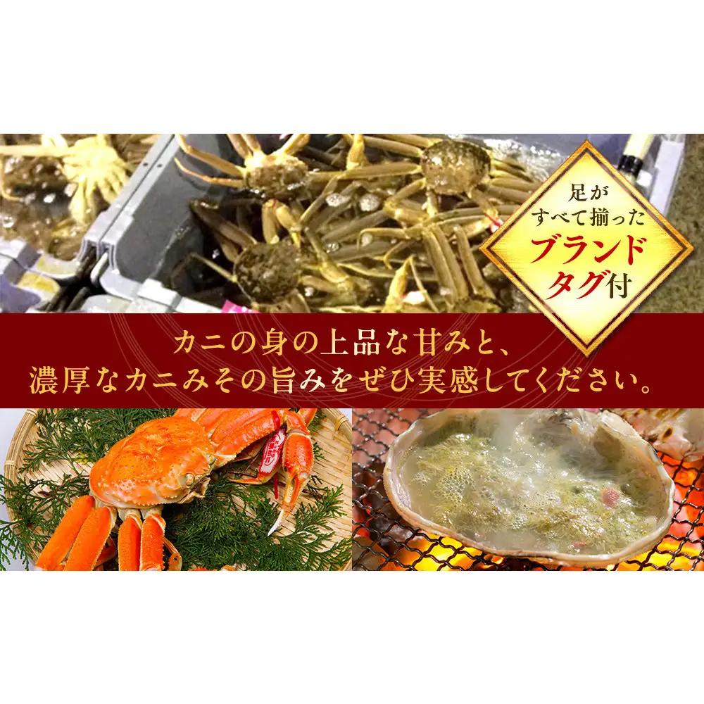 【ボイル】タグ付き 松葉ガニ  特大1枚（900g～1kg前後）  | 松葉 カニ 訳あり活 特大 美味しさに 訳あり 不揃い でないたっぷり 【着日指定不可】　※2026年11月上旬～2027年3月