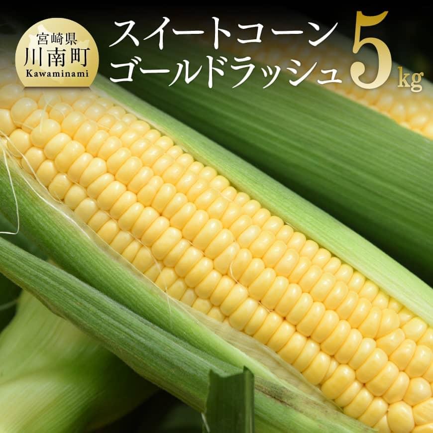 【令和7年発送】朝どれ！守部さんちのゴールドラッシュ5kg 先行予約 数量限定 期間限定 とうもろこし スイートコーン トウモロコシ スィートコーン 令和7年発送