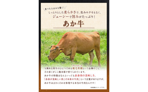 熊本県産 あか牛 くまもと黒毛和牛 もつ鍋セット こだわり和風仕立て 肉のみやべ 《120日以内に出荷予定(土日祝除く)》 ---sm_fmiyaakkrhr_120d_23_13500_4p---