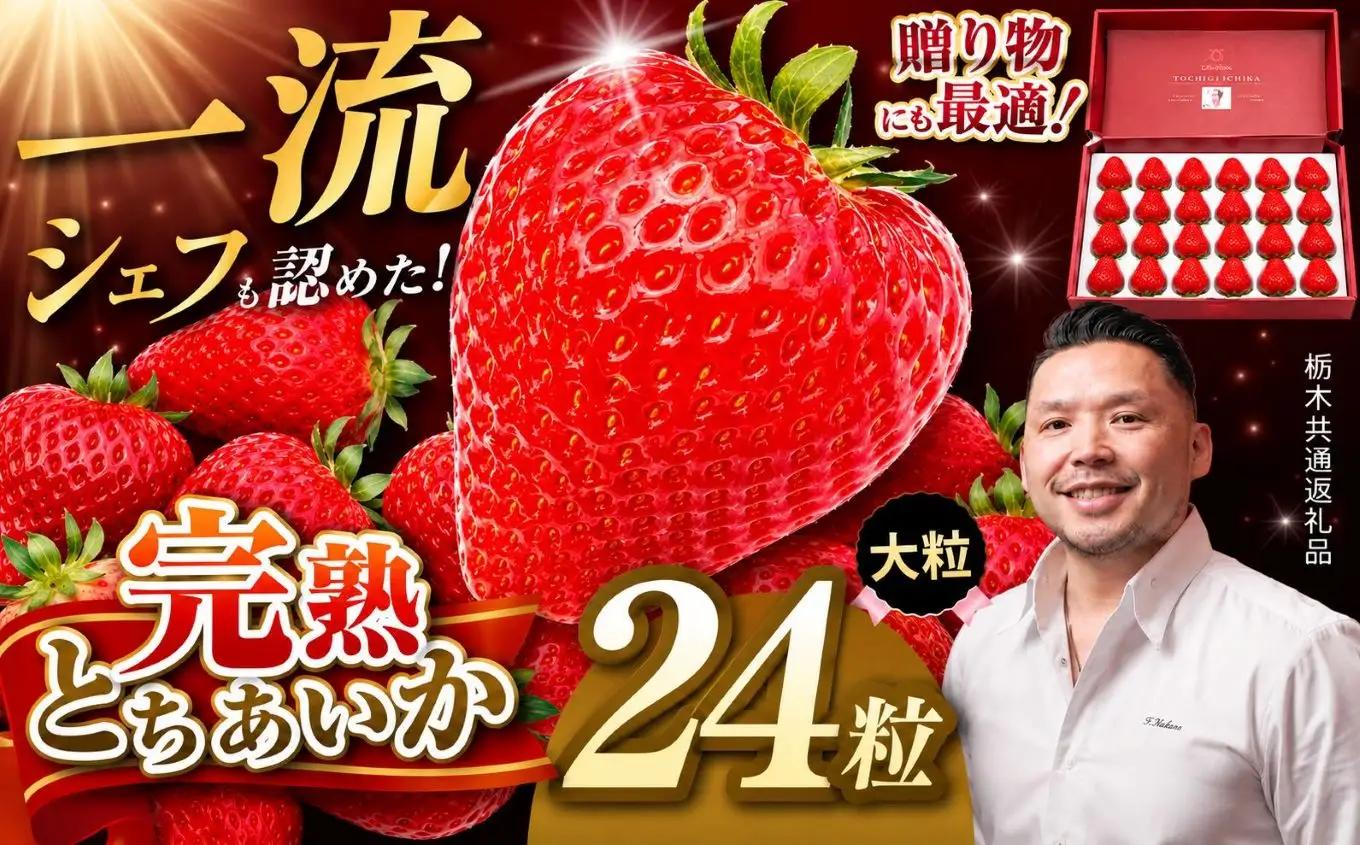 【栃木県共通返礼品】完熟とちあいか 極上大粒ギフト 1粒40g前後 贈答用24粒入