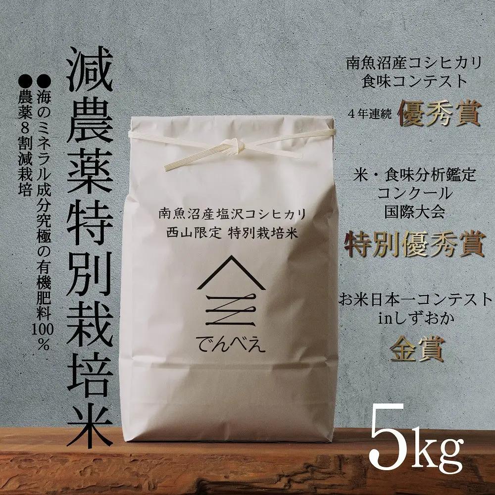 【令和8年新米予約】南魚沼食味コンクール4年連続優秀賞　8割減農薬特別栽培米5kg　南魚沼塩沢産コシヒカリ【2026年9月中旬から1ヶ月以内に順次発送予定】｜コシヒカリ