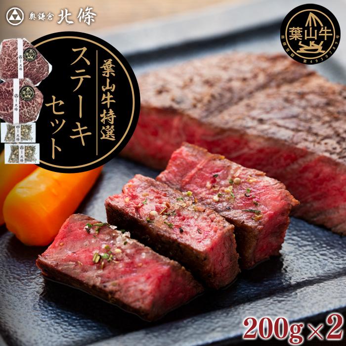 【ふるさと納税】葉山牛特選ステーキセット