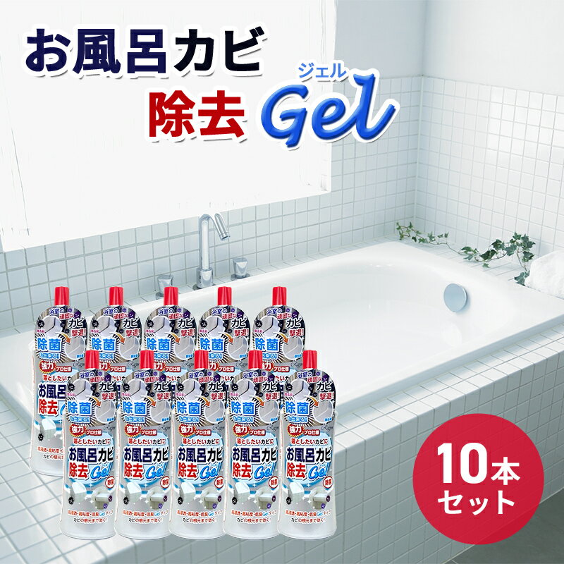 【ふるさと納税】お風呂カビ除去Gel 10本セット　瑞穂市