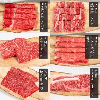 近江牛 定期便 12回 12ヶ月 ステーキ 焼肉 カルビ モモ バラ 肩ロース 赤身 サーロイン リブロース ヒレ フィレ サイコロ 希少部位 ヒウチ ミスジ サンカク 黒毛和牛 三大和牛