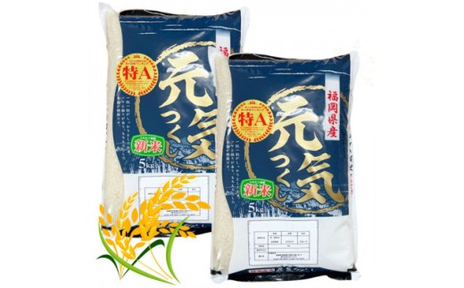 ＜令和7年産＞福岡県産ブランド米「元気つくし」白米 10kg(5kg×2袋) 【米 ブランド米 ブランド 白米 元気つくし 福岡県産 グルメ 福岡県 筑前町 CE012】【価格改定】