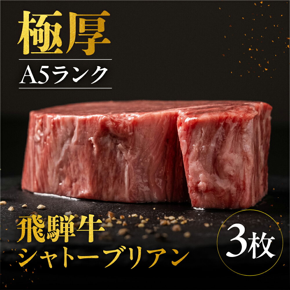 【ふるさと納税】A5等級 飛騨牛 シャトーブリアン ヒレステーキ 190g×3枚（計570g）牛肉 和牛 ステーキ 厚切り 飛騨市肉 にく ヒレ [Q2507] 90000円 9万円
