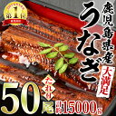 【ふるさと納税】＜大満足＞東串良町のうなぎ蒲焼(無頭)(300g×50尾・計約15000g・タレ、山椒付)うなぎ 高級 ウナギ 鰻 国産 蒲焼 蒲焼き たれ 鹿児島 ふるさと 人気【アクアおおすみ】【5004307a】