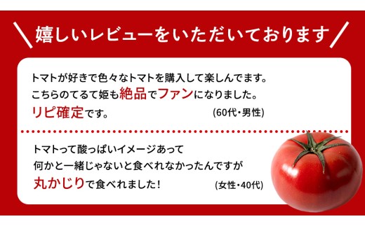 【母の日専用】 スーパーフルーツトマト てるて姫 大箱 約2.6kg ×1箱 糖度9度以上 《5月3日～9日お届け メッセージカード付》[BC094sa]