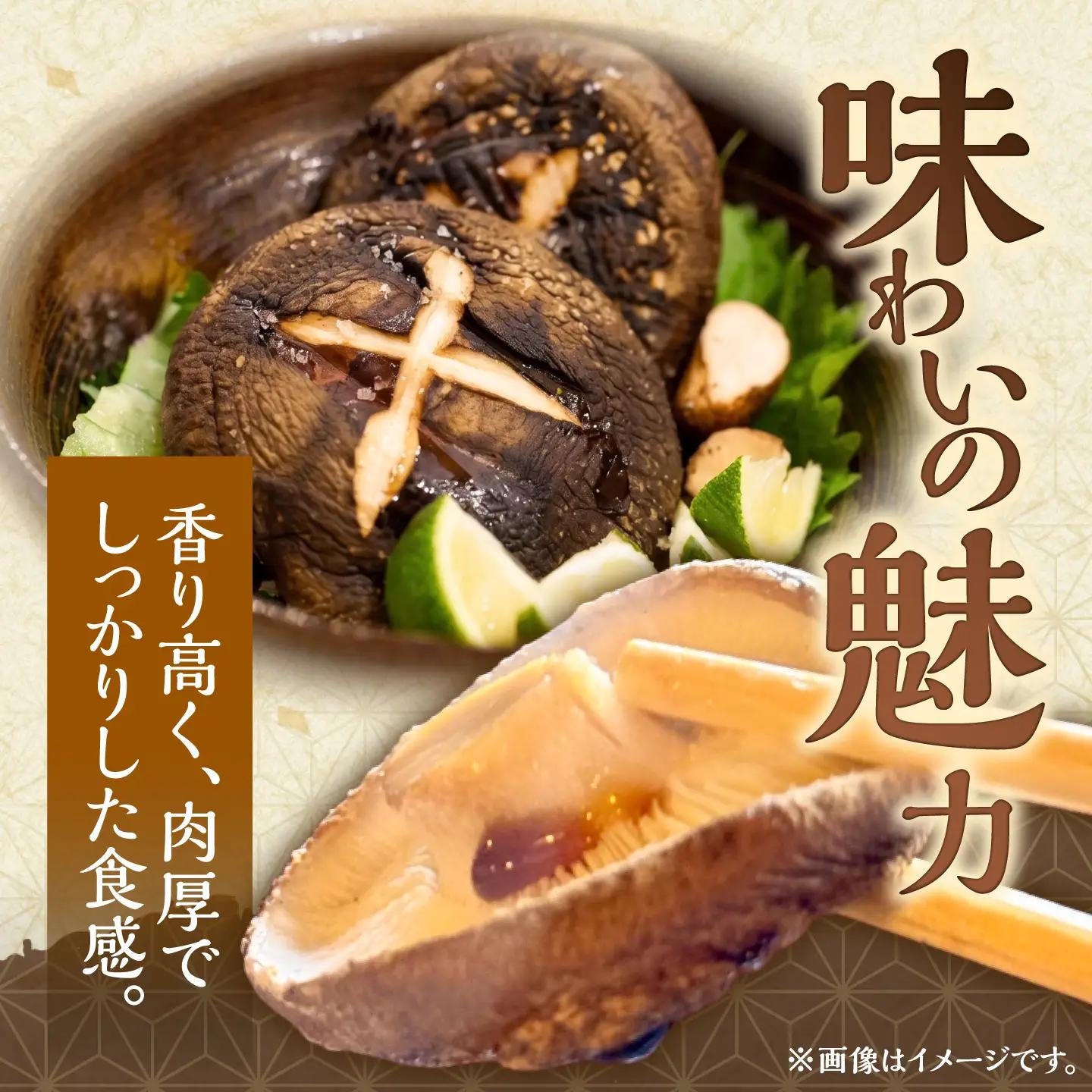 原木椎茸 生･乾燥 詰め合わせセット 椎茸 しいたけ [BNAU001]